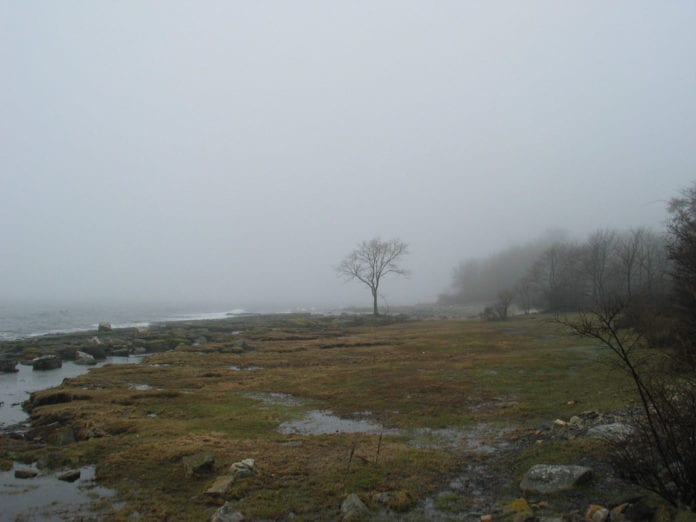 brantevik hav