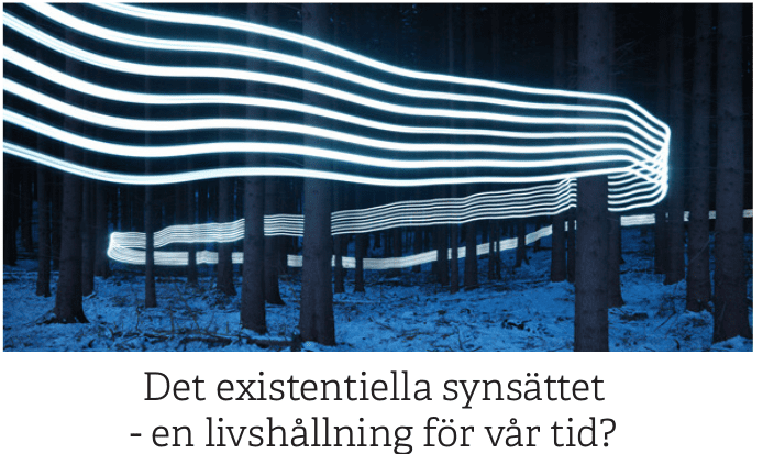 Skärmbild från 2020-02-07 20-52-10